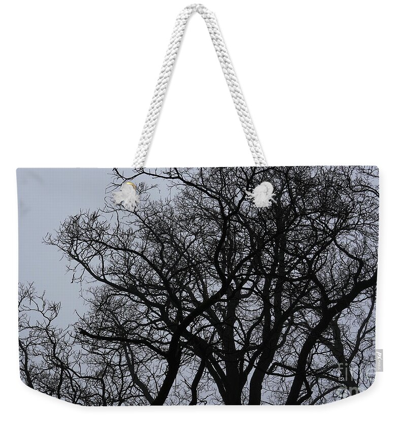 Black And White Weekender Tote Bag featuring the photograph Let's Tango by fototaker Tony