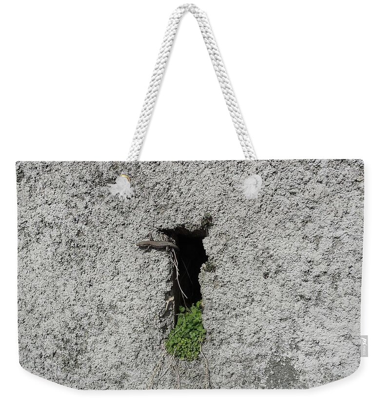 Grey Weekender Tote Bag featuring the photograph Lezard by Joelle Philibert