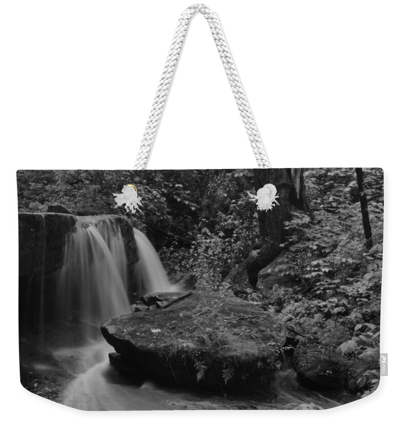  Weekender Tote Bag featuring the photograph Liberty Park by Brad Nellis