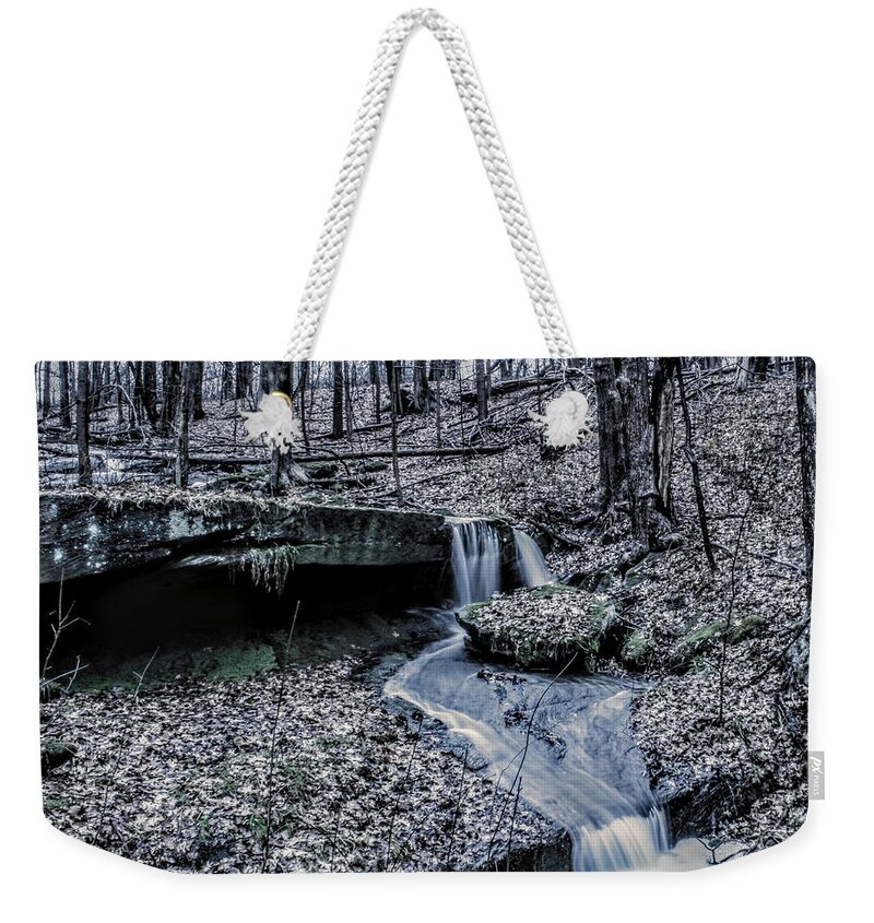  Weekender Tote Bag featuring the photograph Liberty Park in the Fall by Brad Nellis