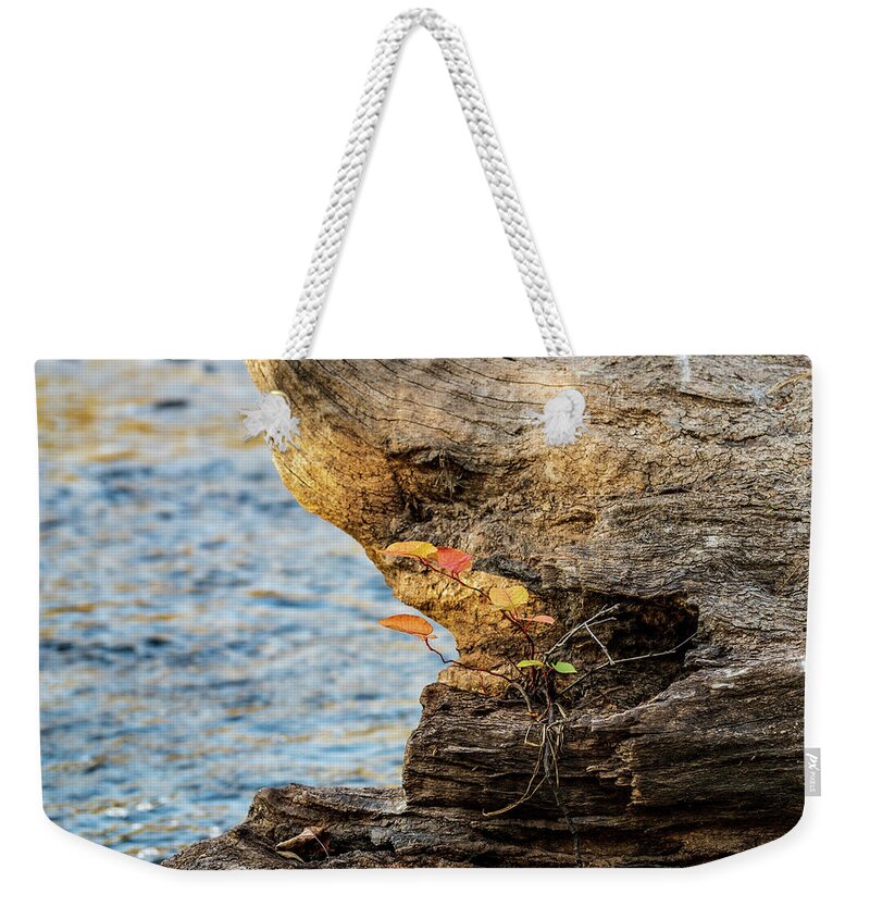 Nature Weekender Tote Bag featuring the photograph Life Finds A Way - Nature Photographer by Amelia Pearn