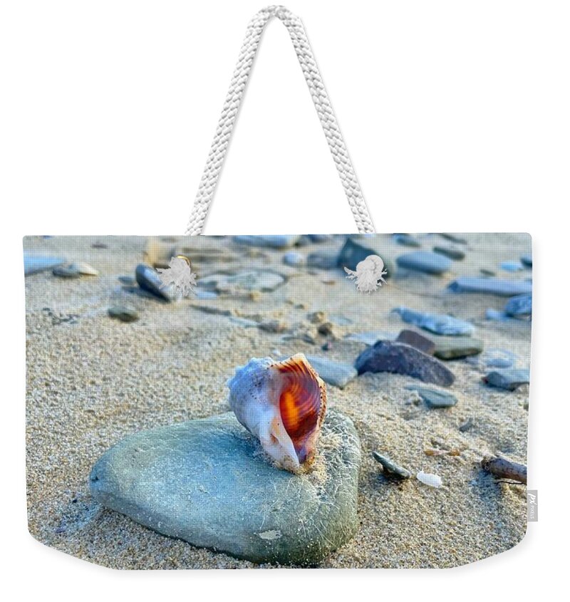 Bay Weekender Tote Bag featuring the photograph Life of a Shell by Maya Mey Aroyo