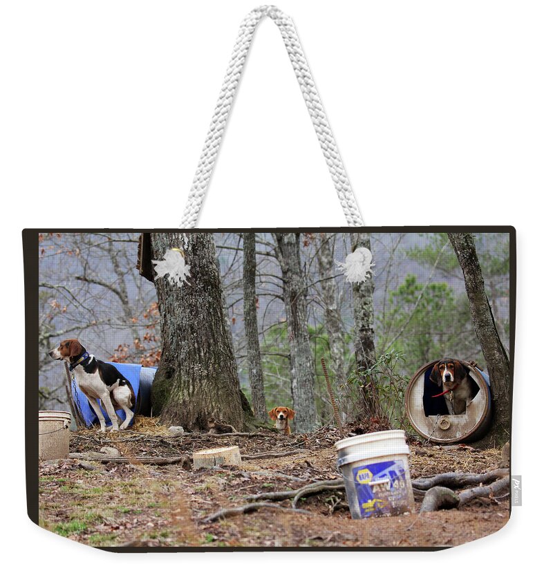 House Weekender Tote Bag featuring the photograph Life On A Chain by Jennifer Robin