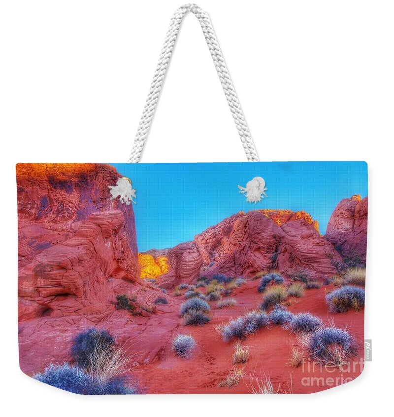  Weekender Tote Bag featuring the photograph Life on Mars 2 by Rodney Lee Williams