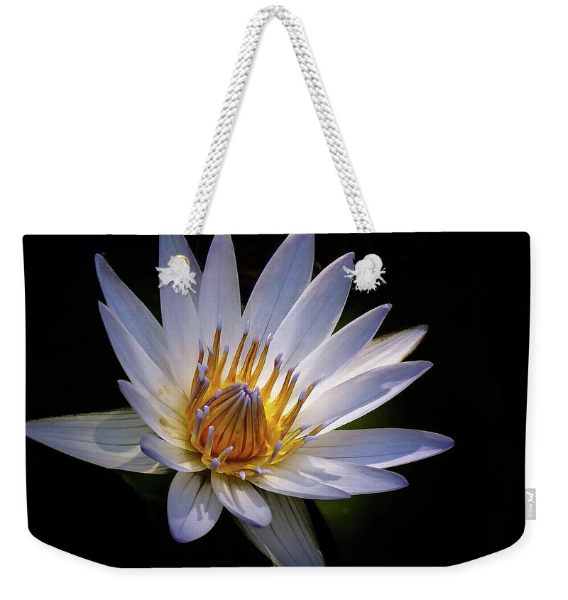 Flower Weekender Tote Bag featuring the photograph Light my life by Les Greenwood