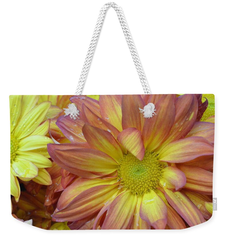 Daisy Weekender Tote Bag featuring the photograph Light Pink and Yellow Daisies 1 by Amy Fose
