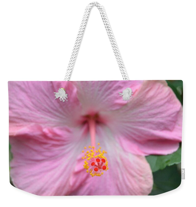 Flower Weekender Tote Bag featuring the photograph Light Pink Hibiscus 3 by Amy Fose