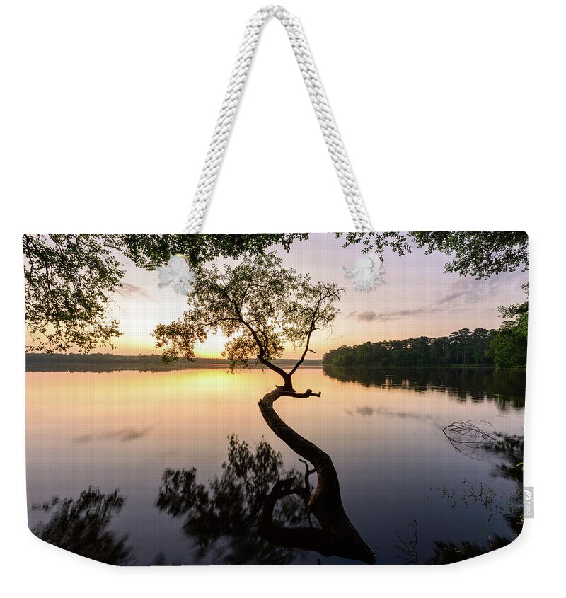 Conroe Weekender Tote Bag featuring the photograph Light the Way by Michael Scott