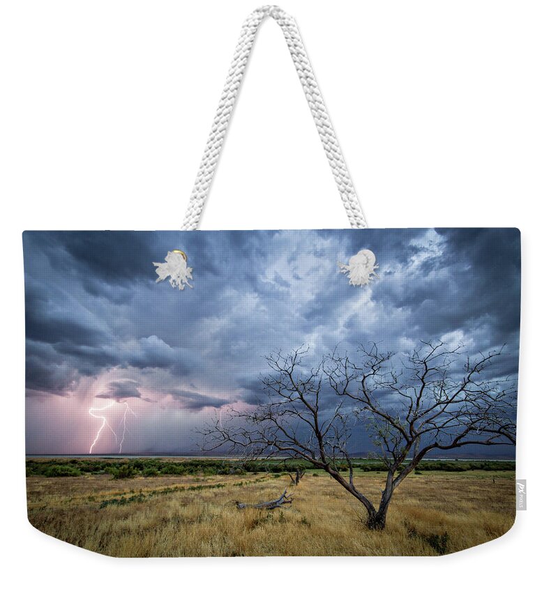 Storm Weekender Tote Bag featuring the photograph Lightning Strike with Tree by Wesley Aston