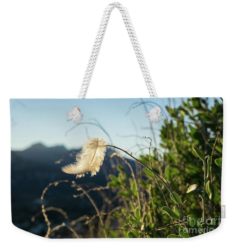 Feather Weekender Tote Bag featuring the photograph Light feather in the wind by Adriana Mueller