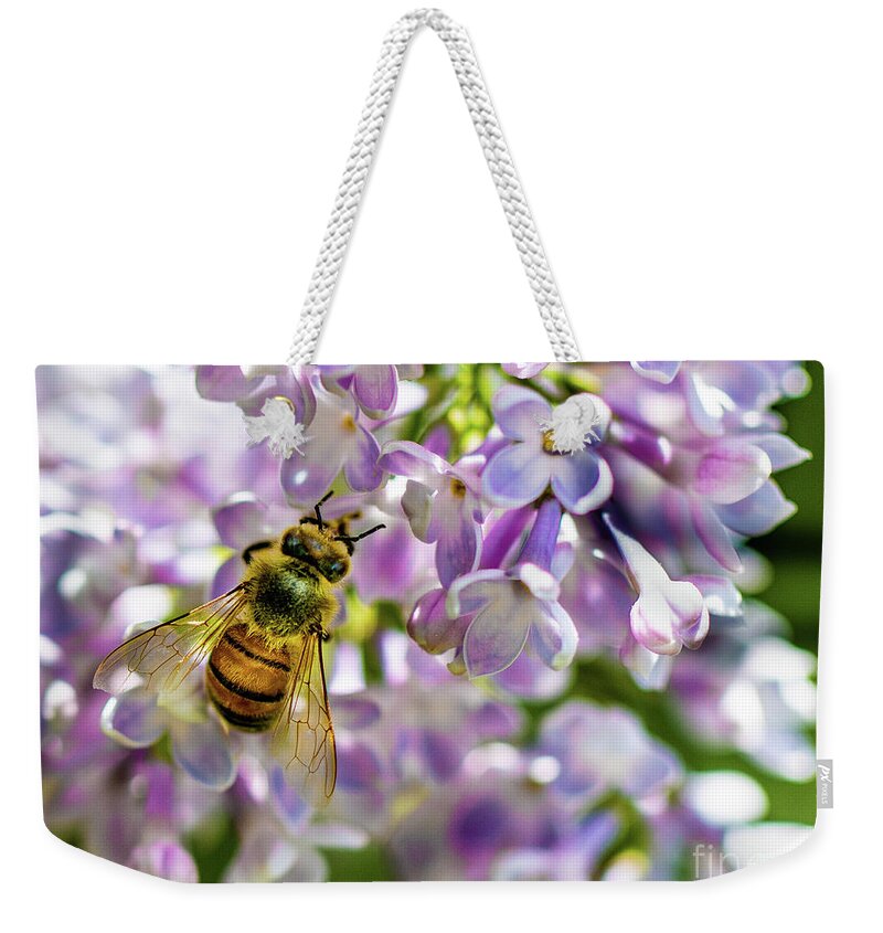 Lilac Weekender Tote Bag featuring the photograph Lilac Bee by Darcy Dietrich