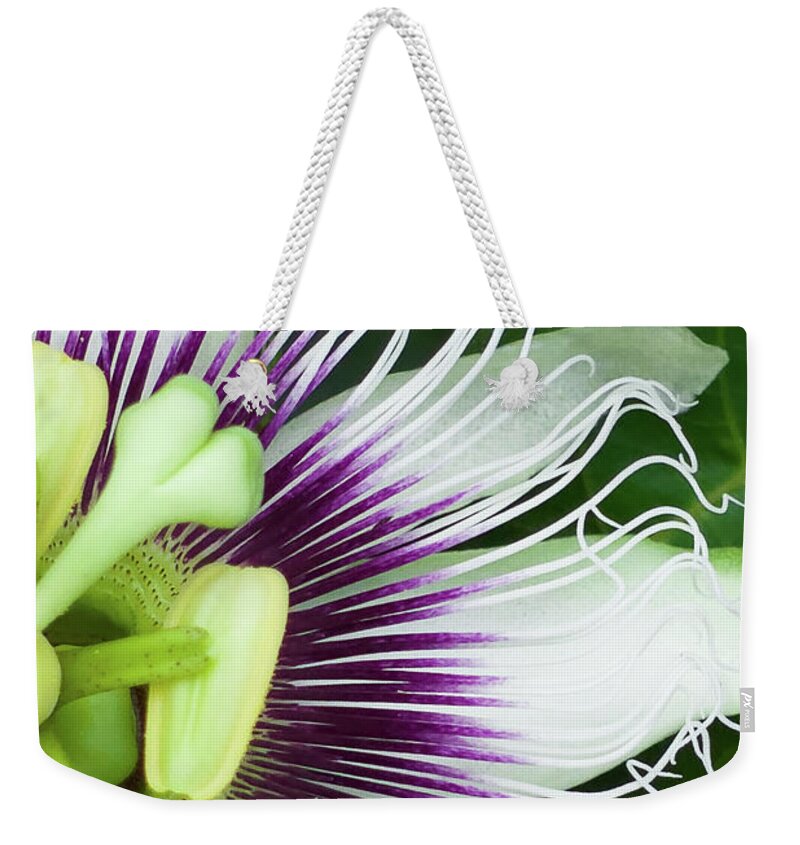Passion Flowers Weekender Tote Bag featuring the photograph Liliquoi Flower Macro-Vert by Denise Bird