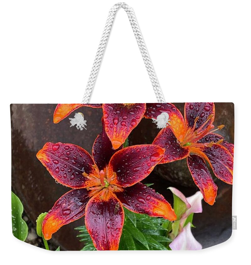 Lily Weekender Tote Bag featuring the photograph Lily after the Rain by Mark Egerton