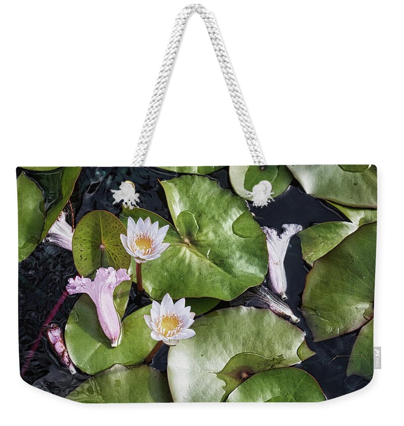 Flower Weekender Tote Bag featuring the photograph Lily at Peace by Portia Olaughlin