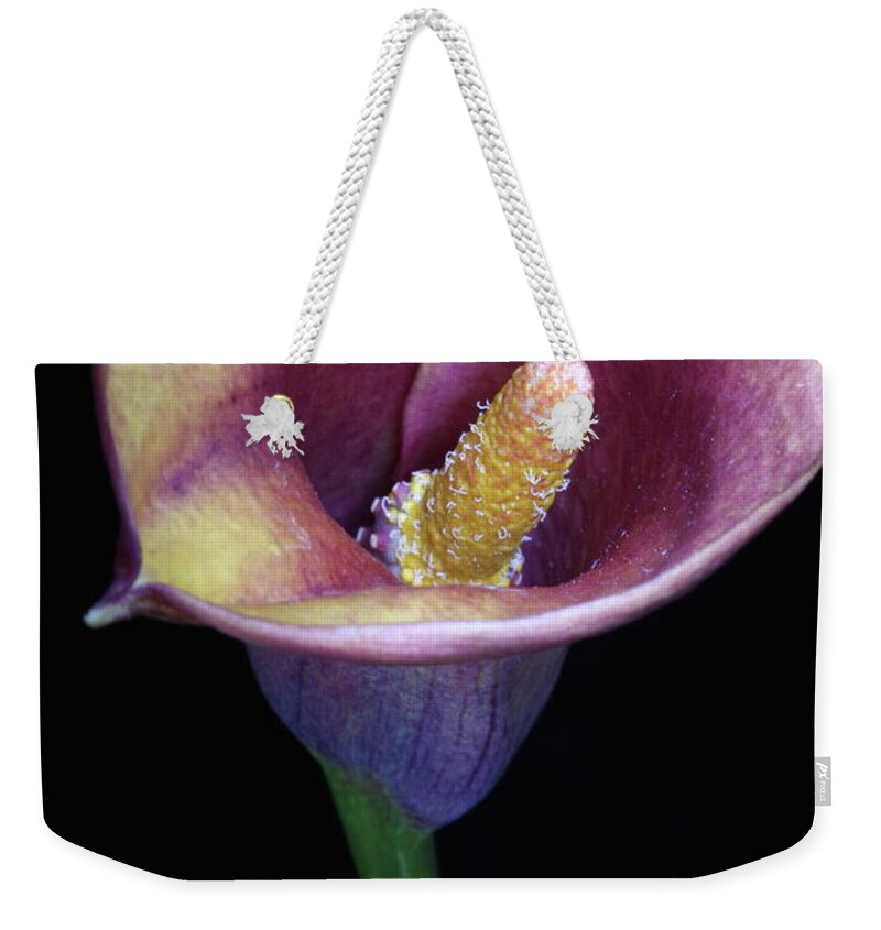 Flower Weekender Tote Bag featuring the photograph Lily Feb282008 by Julie Powell