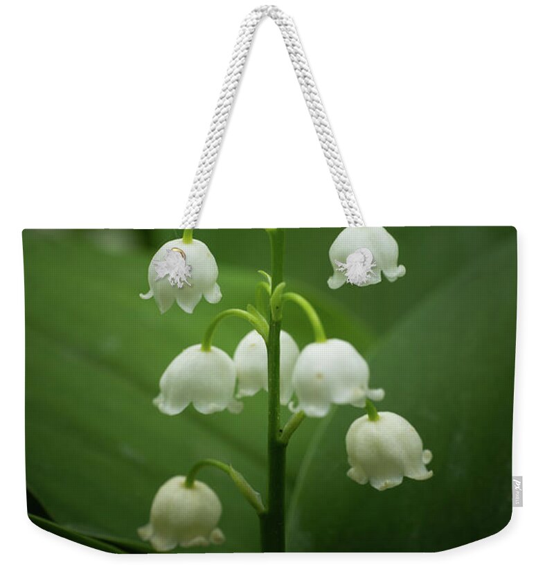 Lily Of The Valley Weekender Tote Bag featuring the photograph Lily of the Valley Flowers by Artur Bogacki