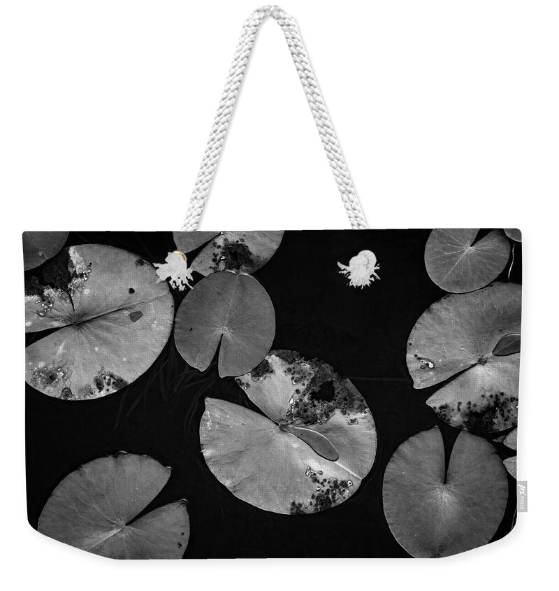 Black And White Weekender Tote Bag featuring the photograph Lily Pads I BW by David Gordon