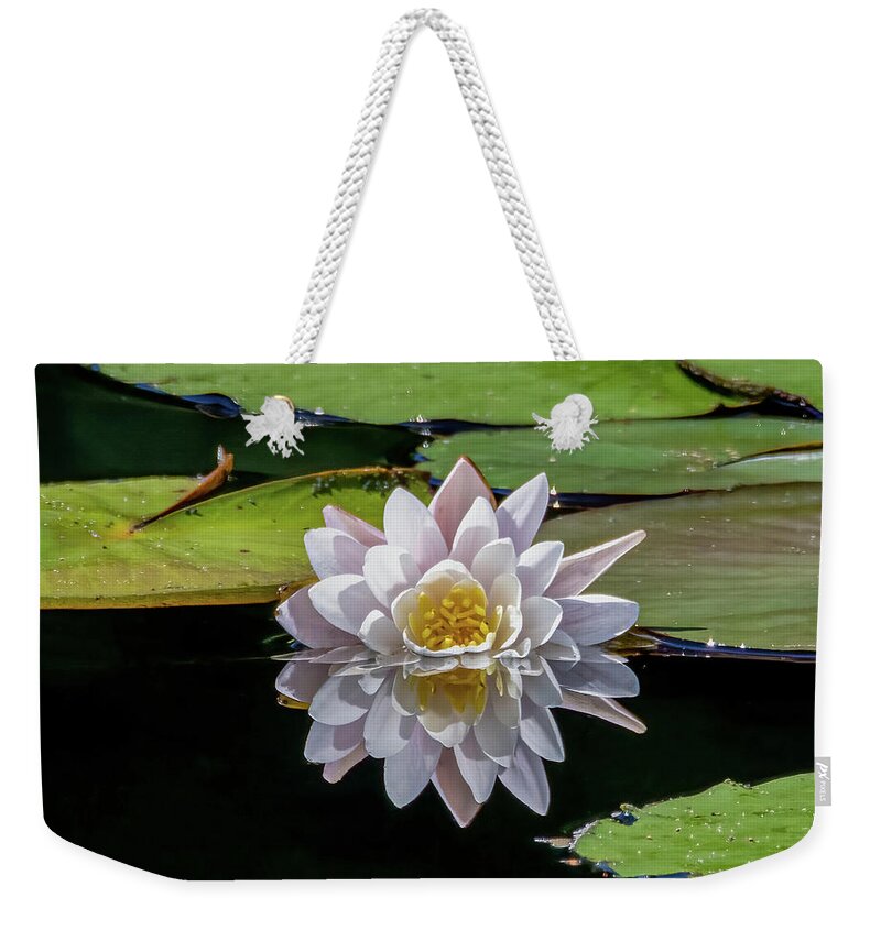 Aquatic Weekender Tote Bag featuring the photograph Lily Reflection by Brian Shoemaker