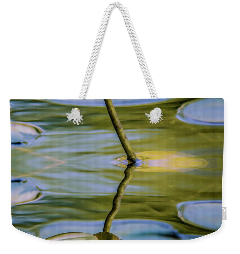 Flower Weekender Tote Bag featuring the photograph Lily Reflection by Cathy Kovarik