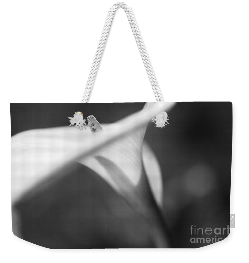 Lily Weekender Tote Bag featuring the photograph Lily White Proud by Joy Watson