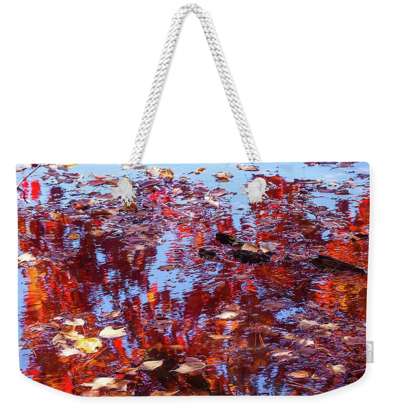 Lake Weekender Tote Bag featuring the photograph Limbs, Leaves, And Lakes by Ed Williams