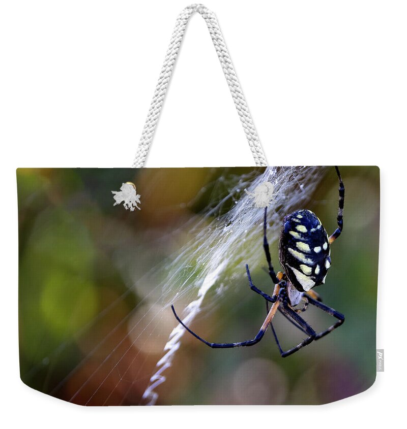 Spider Weekender Tote Bag featuring the photograph Line Work by Art Cole