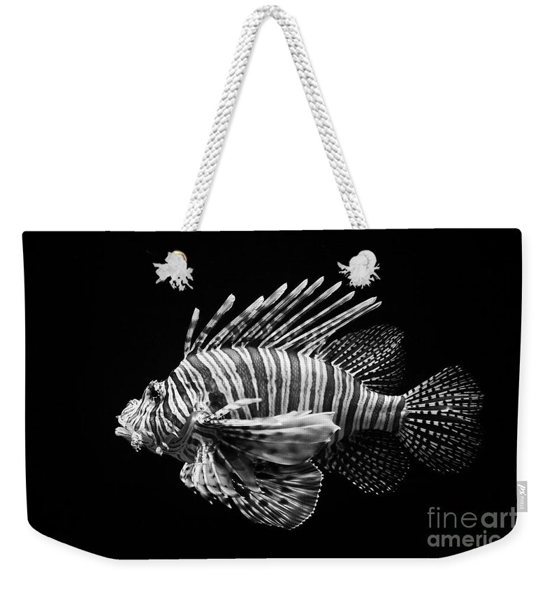Craig Lovell Weekender Tote Bag featuring the photograph Lion Fish by Craig Lovell