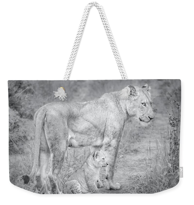 Lions Black And White Weekender Tote Bag featuring the photograph Lioness and Cub Near Kruger National Park, on the Sabi Sands Reserve by Rebecca Herranen