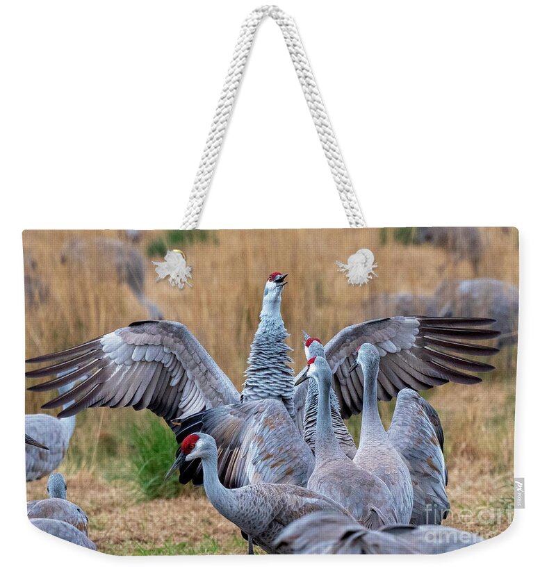 Flock Weekender Tote Bag featuring the photograph Listen Up by Michael Dawson