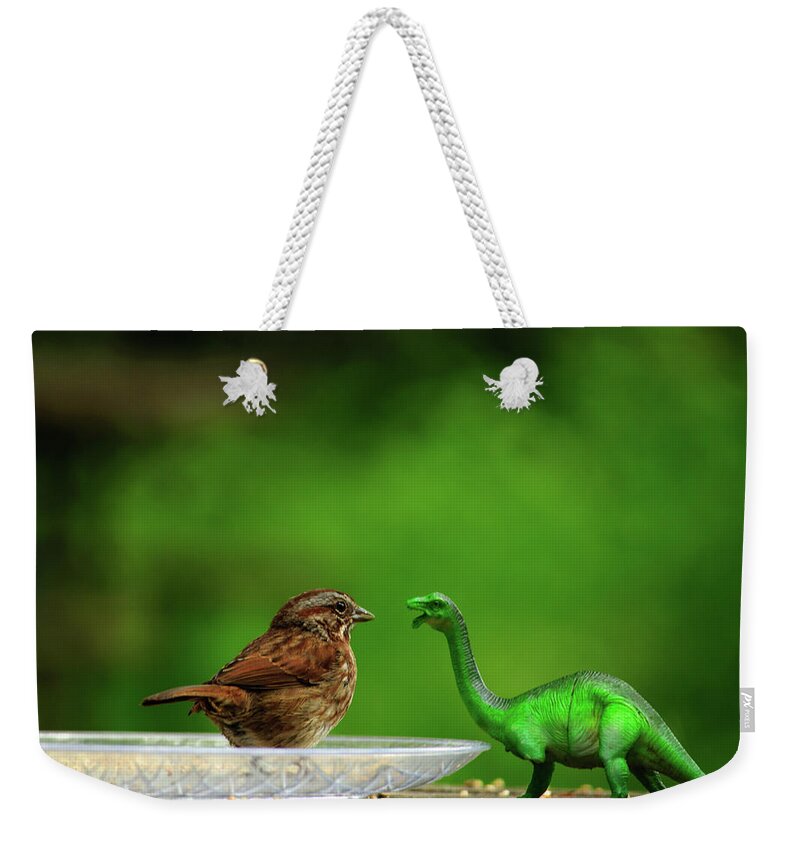 Songbird Weekender Tote Bag featuring the photograph Little Bird Meets Dino by Tikvah's Hope