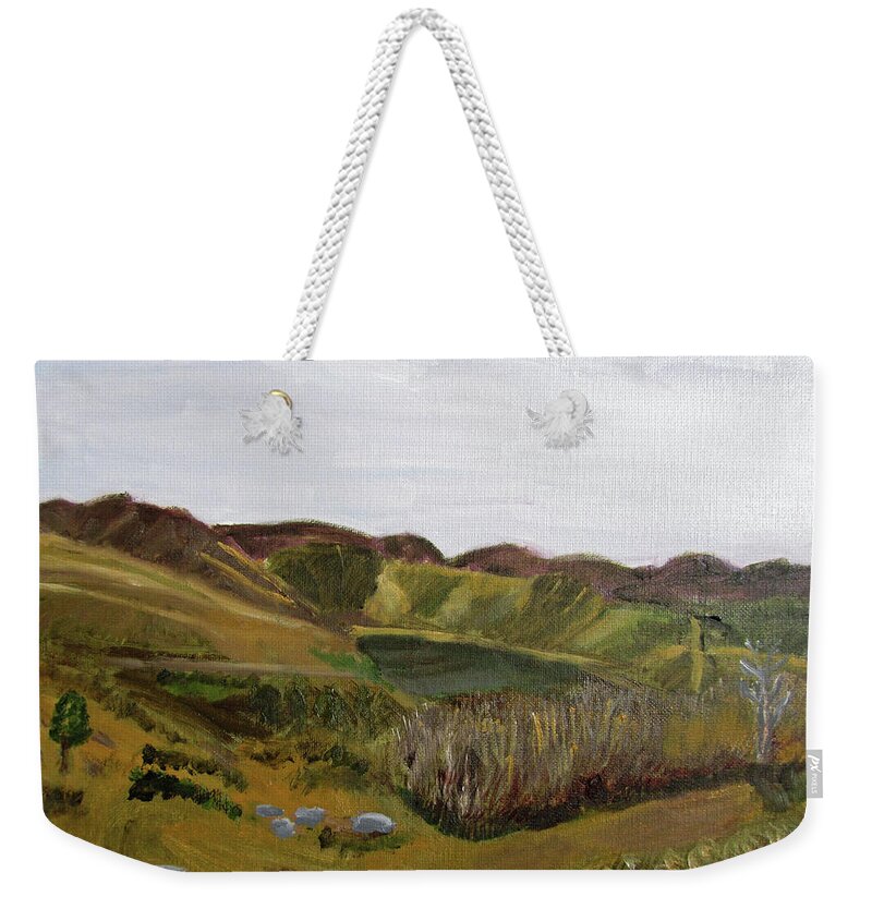 Utah Weekender Tote Bag featuring the painting Little Dell Reservoir by Linda Feinberg