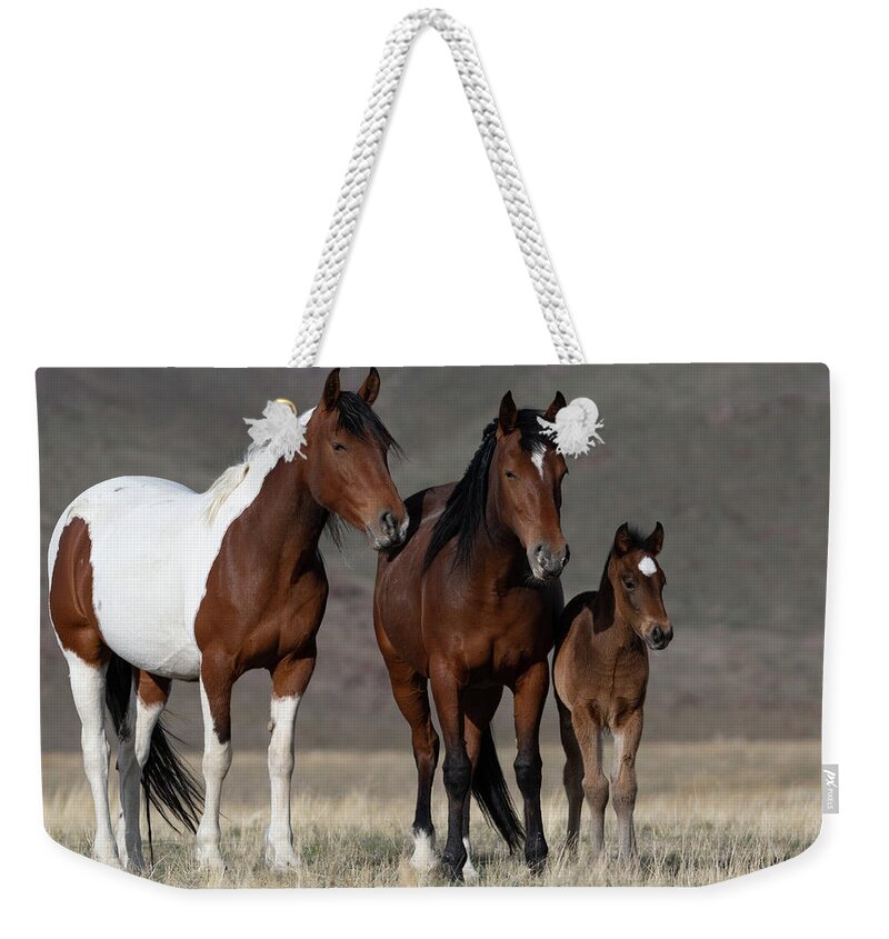 Wild Horses Weekender Tote Bag featuring the photograph Little Family by Mary Hone