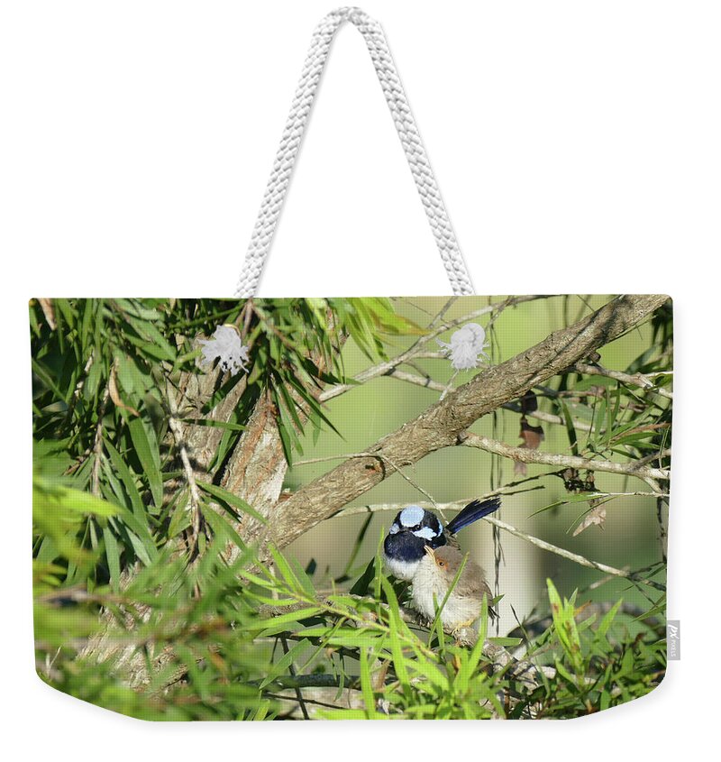 Animals Weekender Tote Bag featuring the photograph Little Fluff Ball by Maryse Jansen