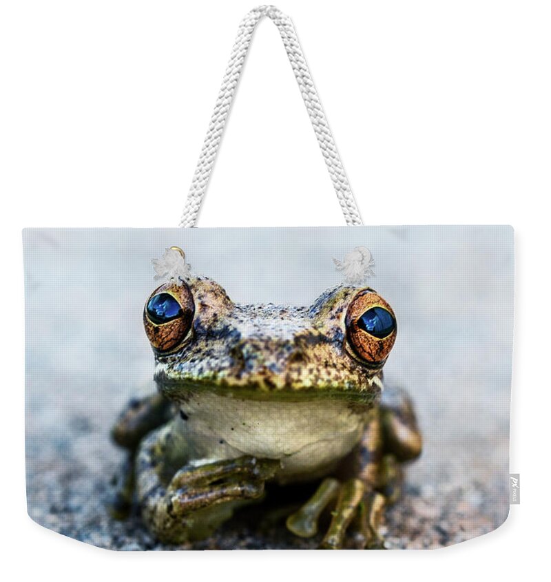 Animal Weekender Tote Bag featuring the photograph Pondering Frog Too by Laura Fasulo