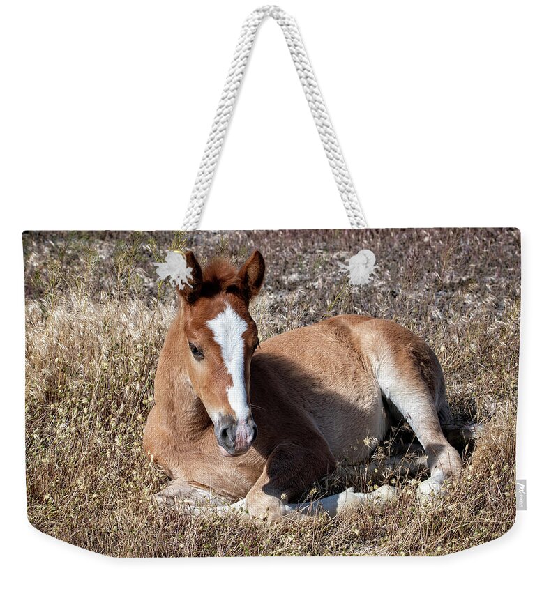 Horse Weekender Tote Bag featuring the photograph Little One by Jeanette Mahoney