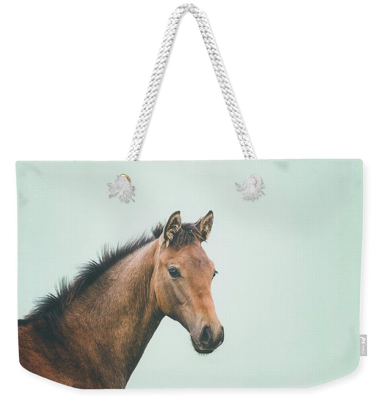 Photographs Weekender Tote Bag featuring the photograph Little Rebel - Horse Art by Lisa Saint
