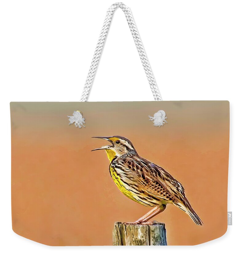 Eastern Meadowlark Weekender Tote Bag featuring the photograph Little Songbird by HH Photography of Florida