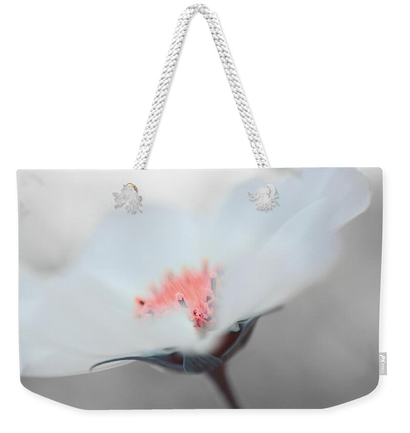 White Weekender Tote Bag featuring the photograph Little white flower by Marianna Mills