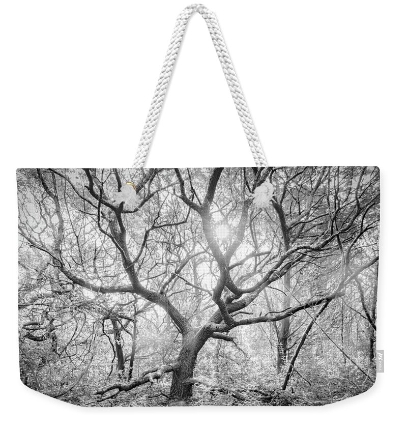 Live Oak Weekender Tote Bag featuring the photograph Live Oak Tree in the Forest Clearing - Atlantic Beach North Carolina by Bob Decker