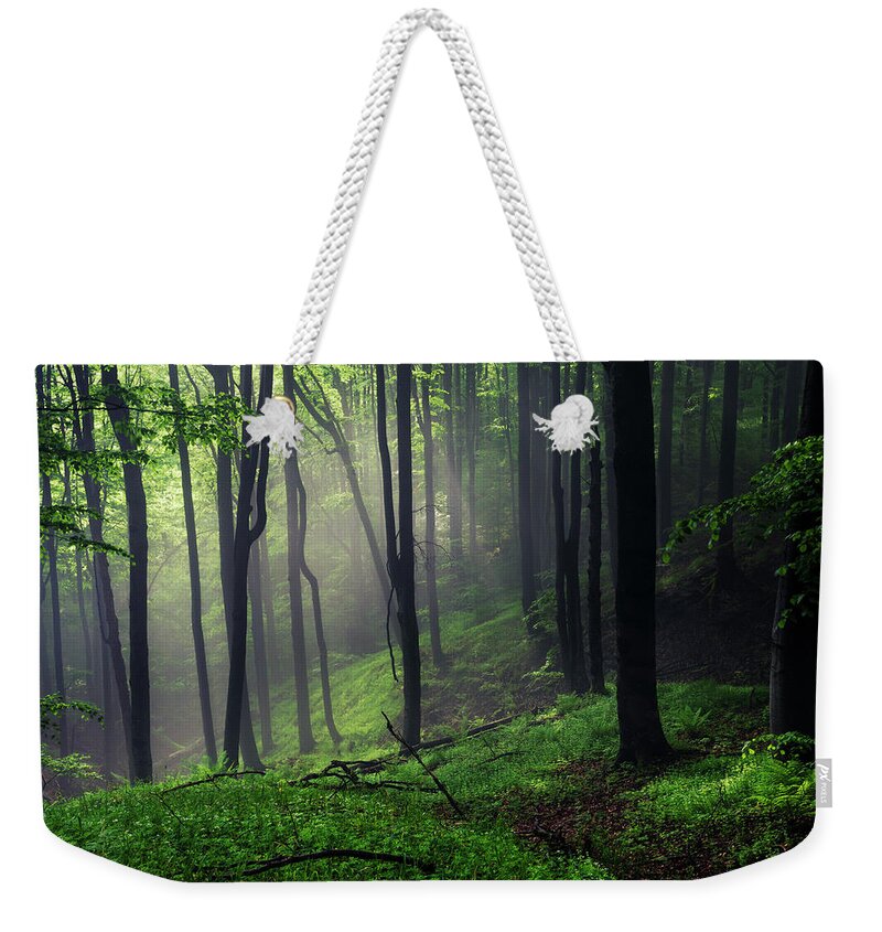 Mist Weekender Tote Bag featuring the photograph Living Forest by Evgeni Dinev