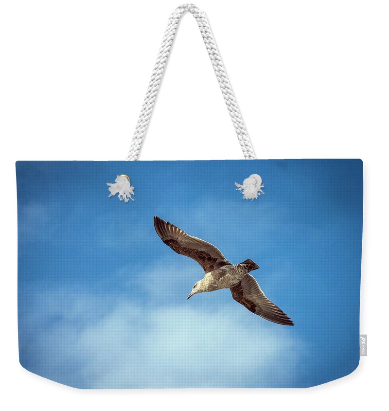 Seagull Weekender Tote Bag featuring the photograph Livingstone I Presume by Joe Schofield