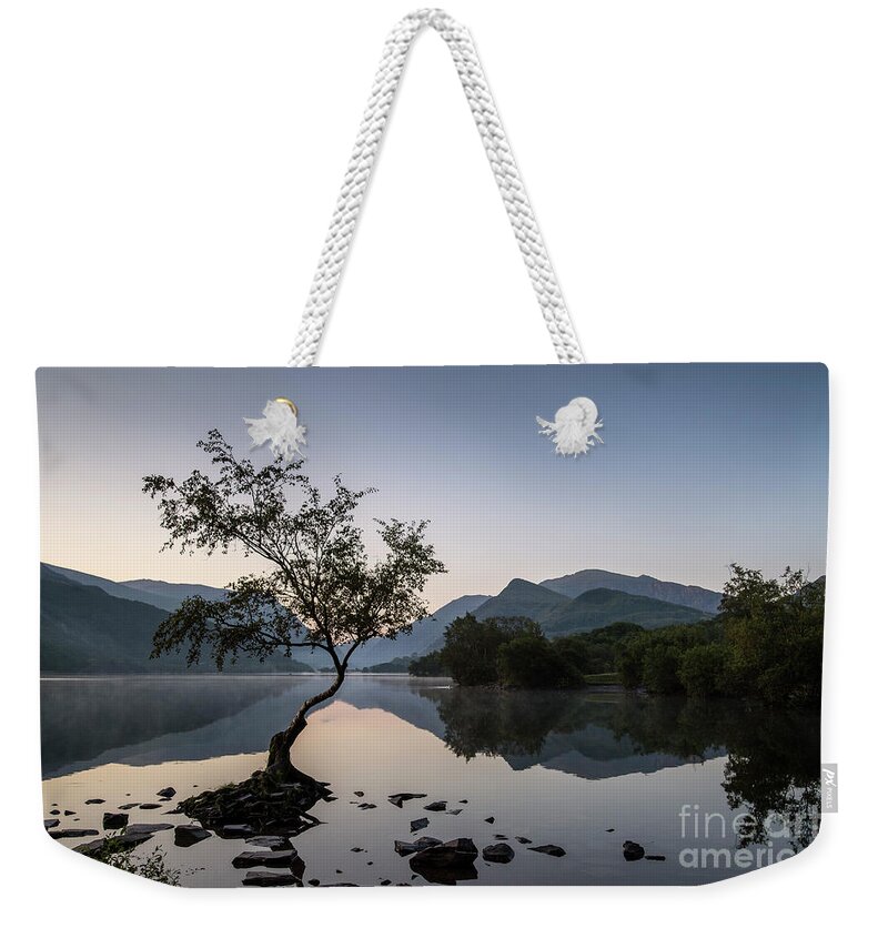 Tree Weekender Tote Bag featuring the photograph Llyn Padarn Tree by David Lichtneker