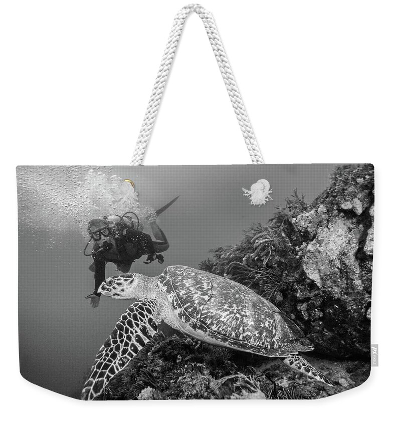 Black Weekender Tote Bag featuring the photograph Loggerhead Turtle and Diver Black and White by Debra and Dave Vanderlaan