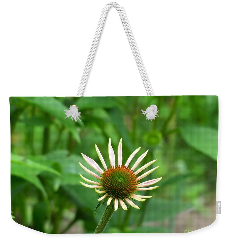 Garden Flower Weekender Tote Bag featuring the photograph Lone Beauty by Rosanne Licciardi