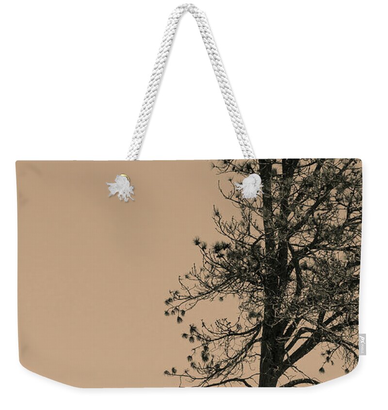 Bison Weekender Tote Bag featuring the photograph Lone Bison by Larry Bohlin