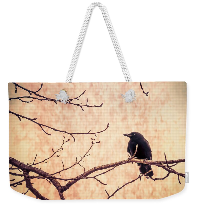 Animal Weekender Tote Bag featuring the digital art Lone Crow Contemplating the Nature of Reality by Michele Cornelius