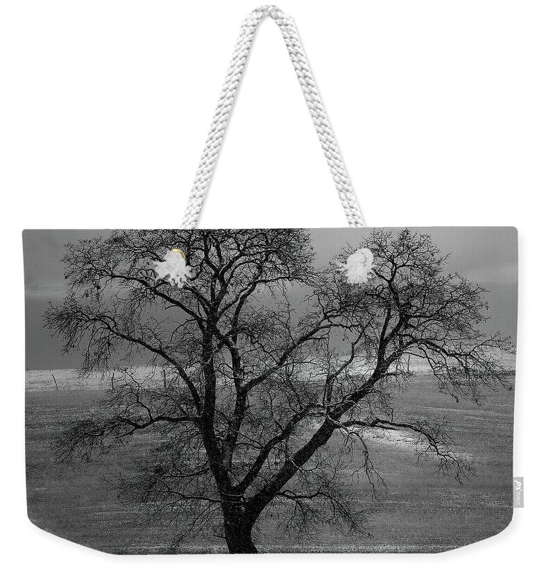  Weekender Tote Bag featuring the photograph Lone Oak in Winter Corn Field - Tompkins Center, Michigan USA - by Edward Shotwell
