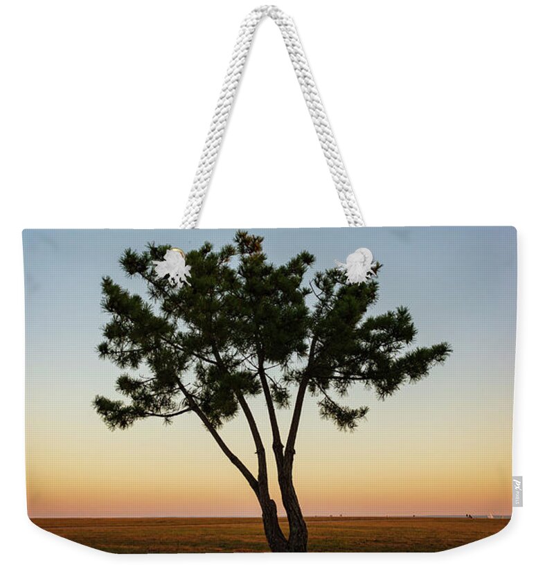 Lone Weekender Tote Bag featuring the photograph Lone Tree at Twilight Color by David Gordon