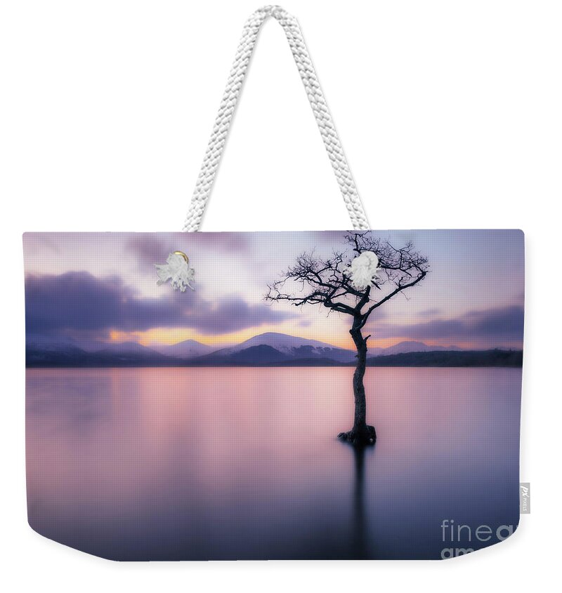 Loch Lomond Weekender Tote Bag featuring the photograph Lone tree dusk at Milarrochy Bay, Loch Lomond, Scotland by Neale And Judith Clark