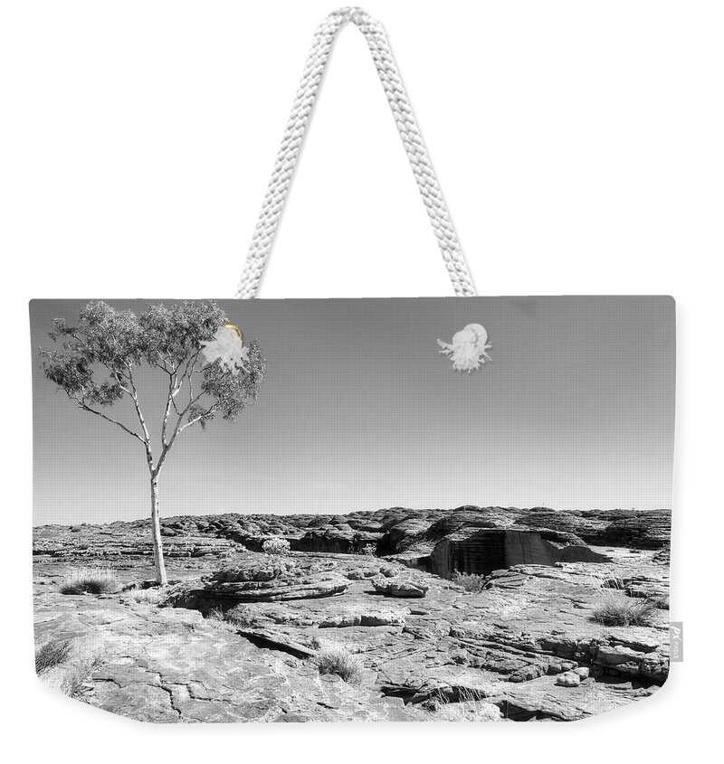 Raw And Untouched Weekender Tote Bag featuring the photograph Lone Tree - Kings Canyon Rim BW by Lexa Harpell